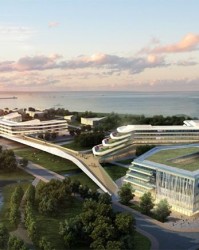  青岛国信水产内线告急惨败于浙江广厦