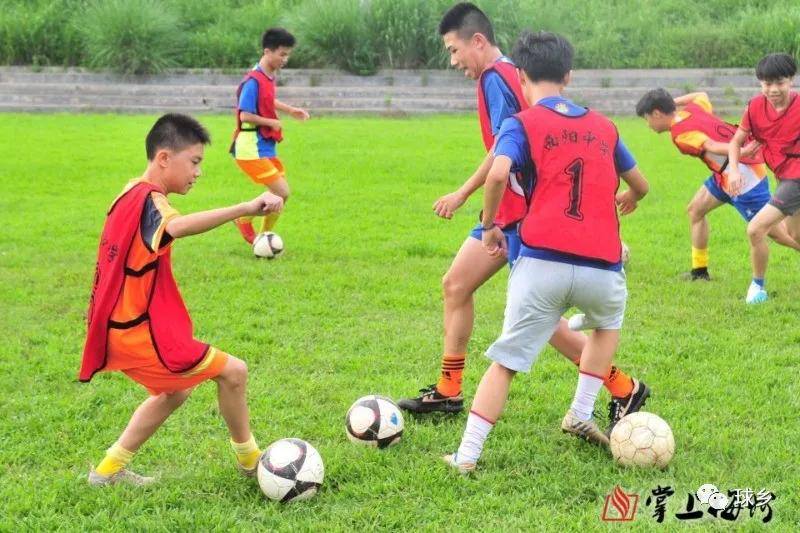  草根足球遍地开花，全民参与热情高涨